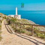 faro